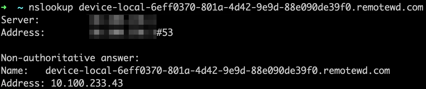 DNS request resolving the DNS name of our device